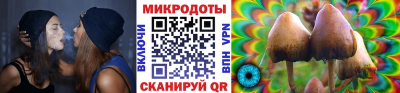 Псилоцибиновые грибы Psilocybine cubensis  магазин    Спас-Деменск 